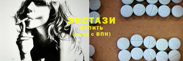 МДПВ Бородино