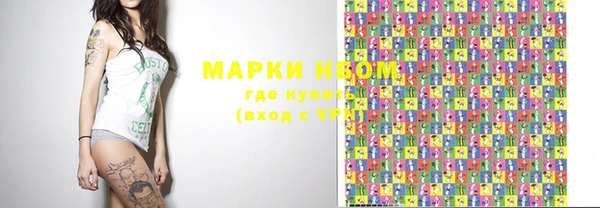 МДПВ Бородино