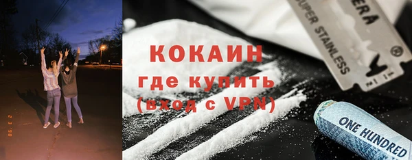 МДПВ Бородино