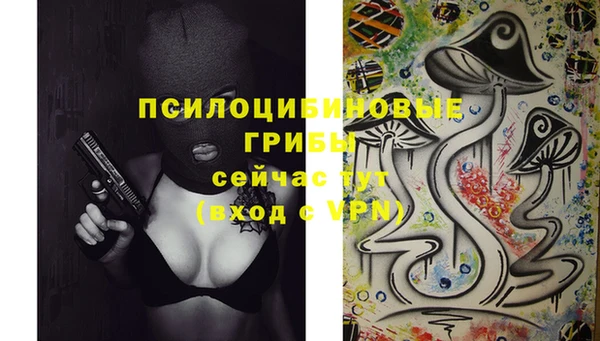 МДПВ Бородино