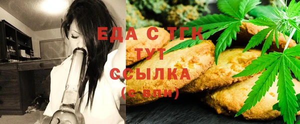 МДПВ Бородино