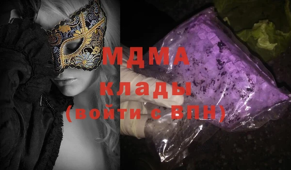 МДПВ Бородино
