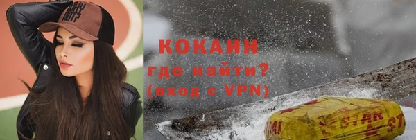 МДПВ Бородино