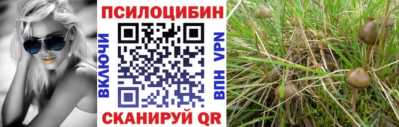 Псилоцибиновые грибы прущие грибы  Ульяновск 